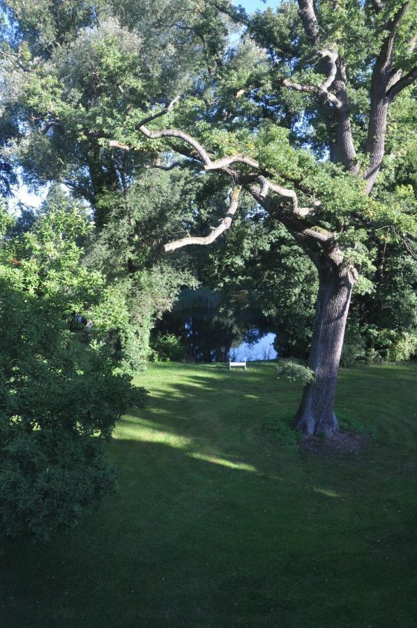 Gartenzimmer Im Schloss Neuhausen Neuhausen  Εξωτερικό φωτογραφία