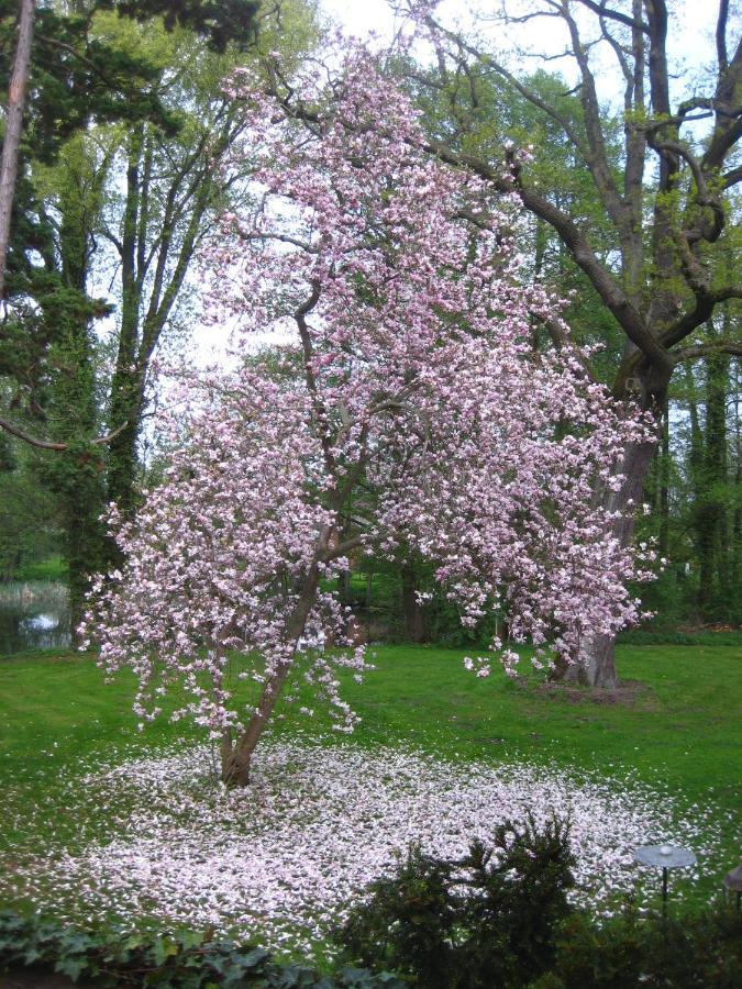 Gartenzimmer Im Schloss Neuhausen Neuhausen  Εξωτερικό φωτογραφία