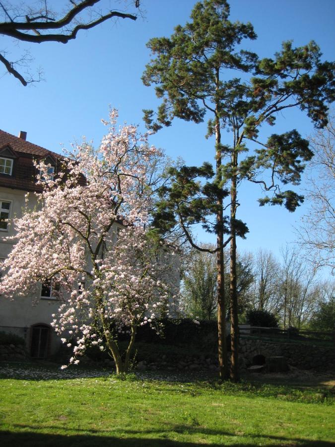 Gartenzimmer Im Schloss Neuhausen Neuhausen  Εξωτερικό φωτογραφία